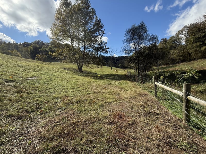 183 Puncheon Camp Ln, Bell Buckle, TN 37020