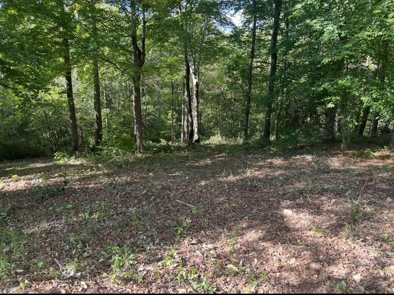 165 Overlook Ct, Kingston Springs, TN 37082