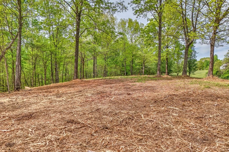Rbk Ln, Bethpage, TN 37022