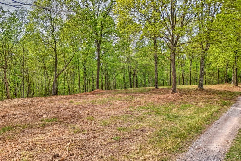Rbk Ln, Bethpage, TN 37022