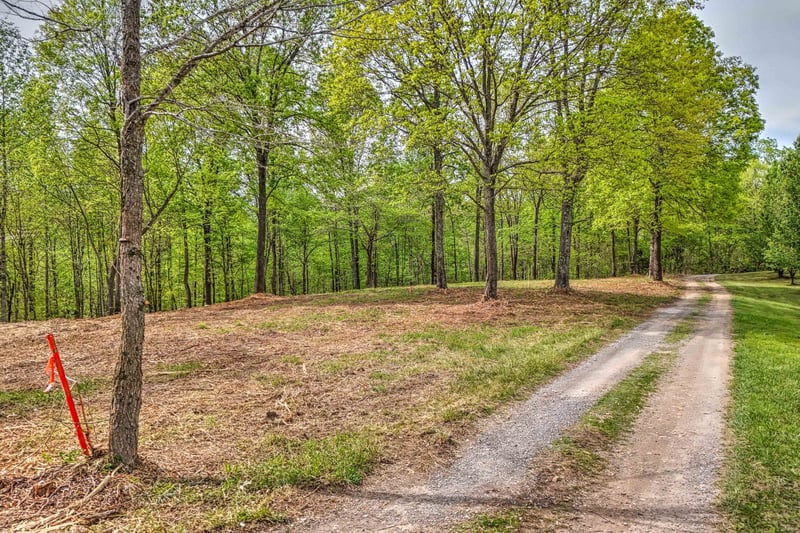 Rbk Ln, Bethpage, TN 37022