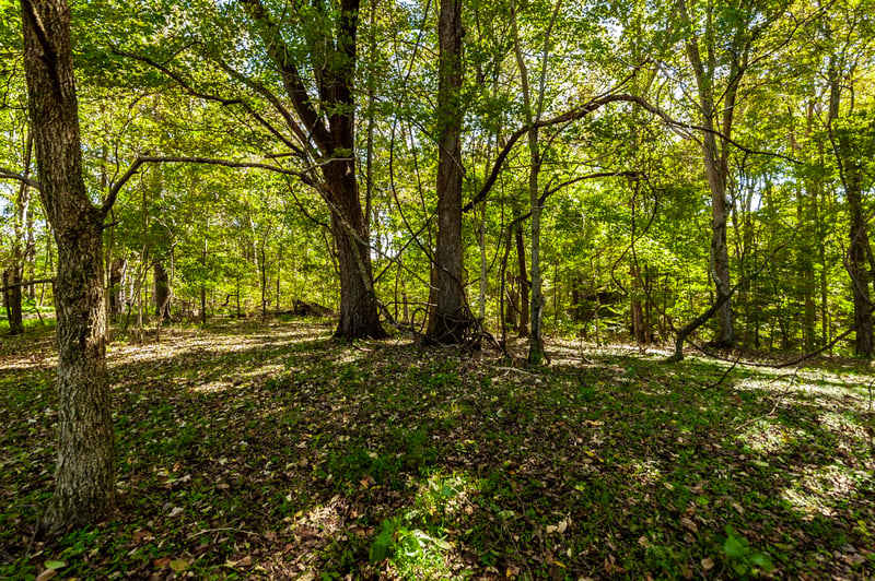 Harper Rd, Portland, TN 37148