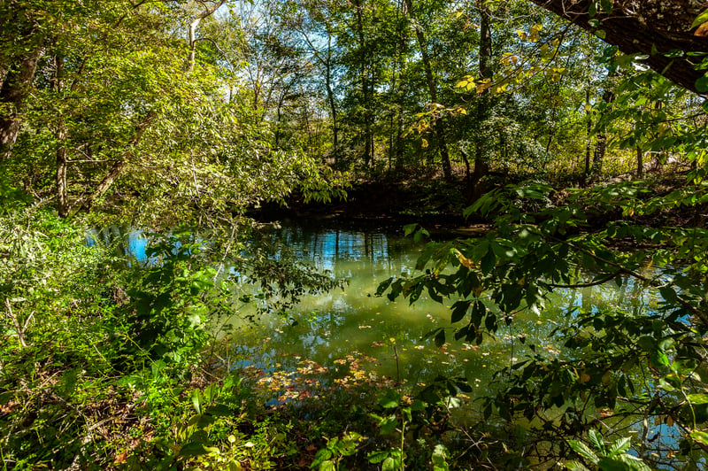 Harper Rd, Portland, TN 37148