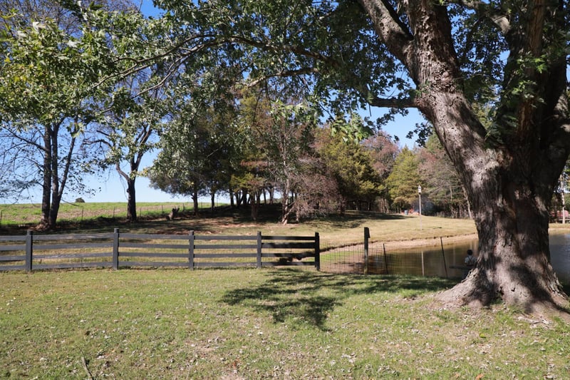 12354 Owens Chapel Rd, Springfield, TN 37172