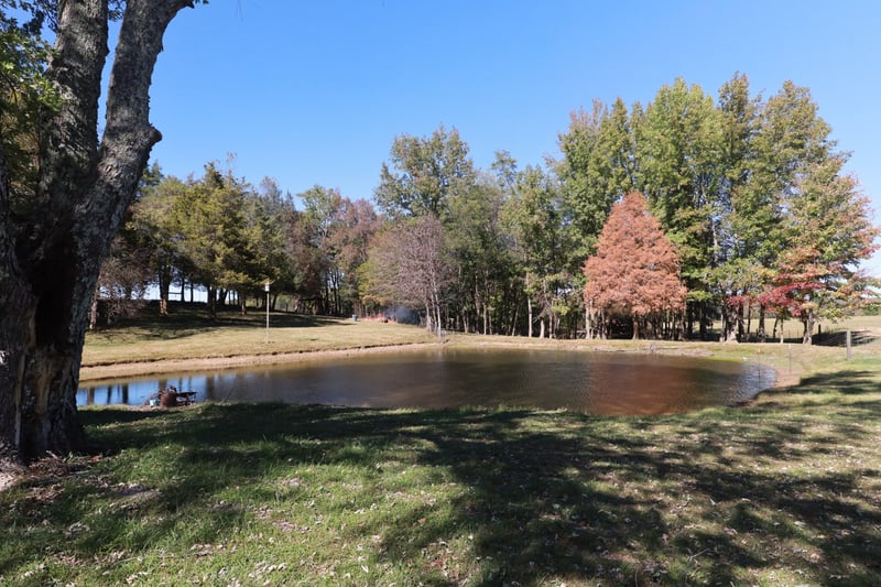 12354 Owens Chapel Rd, Springfield, TN 37172