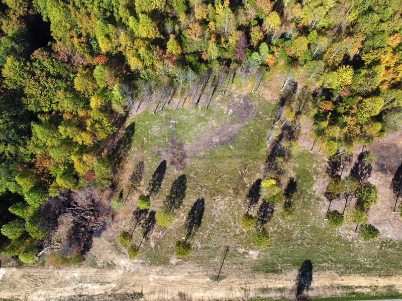 0 Carter Rd, Westmoreland, TN 37186