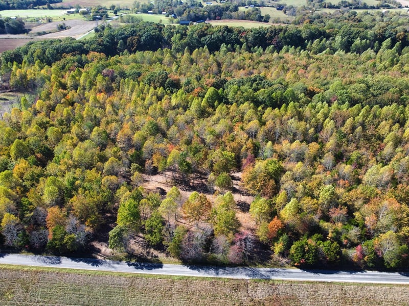 0 Johnson Rd, Westmoreland, TN 37186