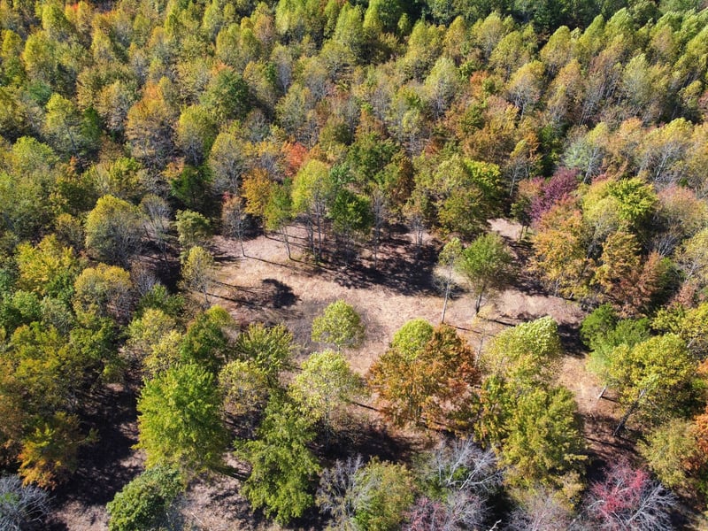 0 Johnson Rd, Westmoreland, TN 37186