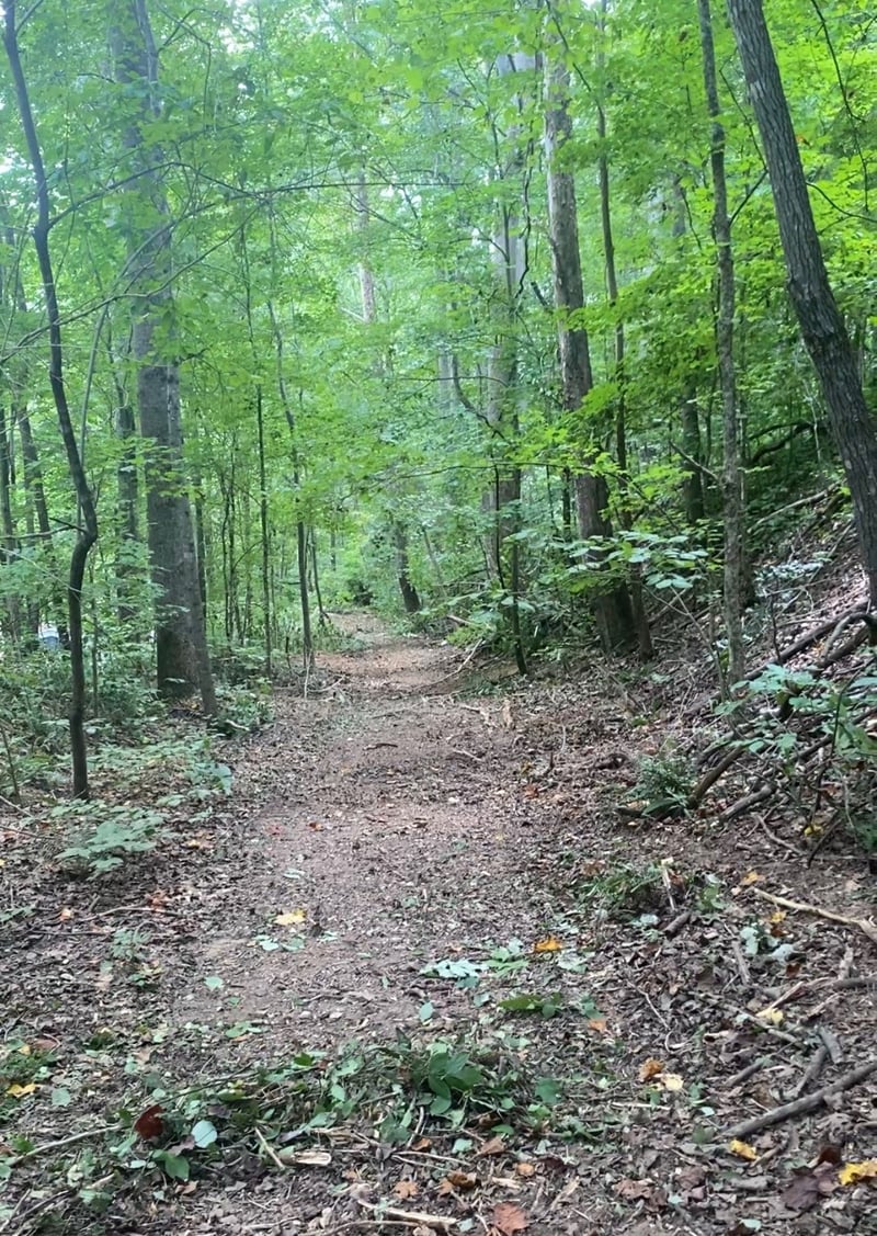 8552 Cub Creek Rd, Nashville, TN 37209