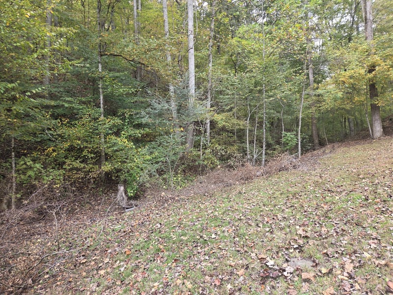 9436 Highway 100 , Nashville, TN 37221