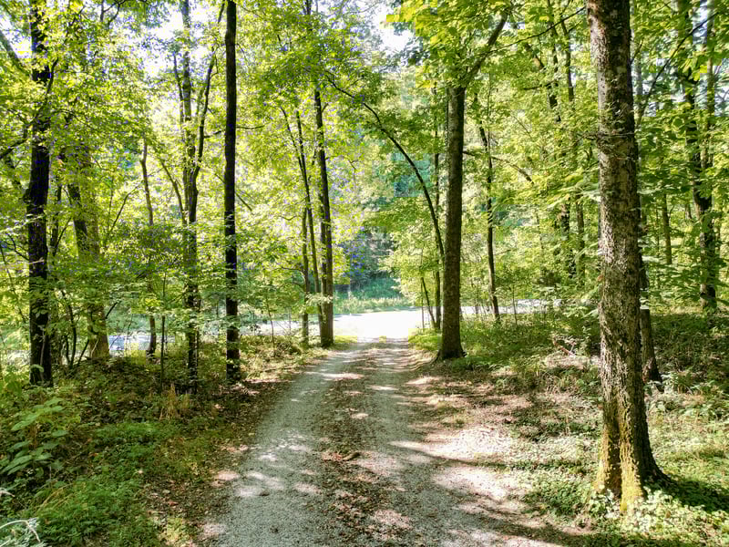 1053 Sam Johnson Rd, Columbia, TN 38401