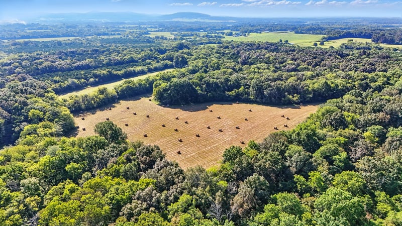 790 Squire Hall Rd, Bell Buckle, TN 37020
