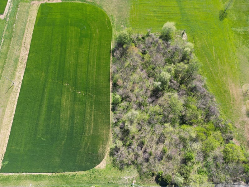 2641 Battle Creek Rd, Springfield, TN 37172