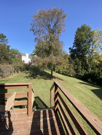 911 Hammack Dr, Nashville, TN 37214