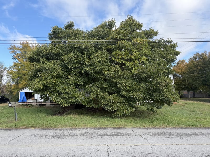 62 High St, Mc Ewen, TN 37101