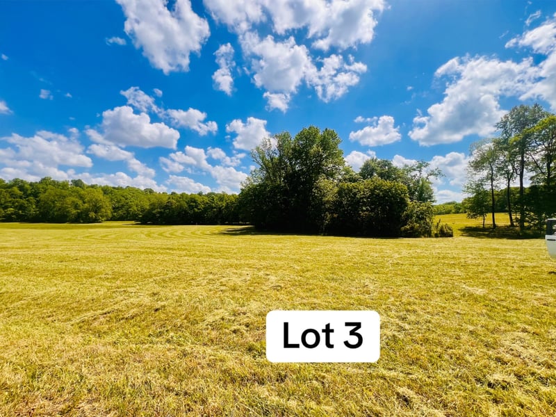 0 Calista Rd Lot 3, Cross Plains, TN 37049