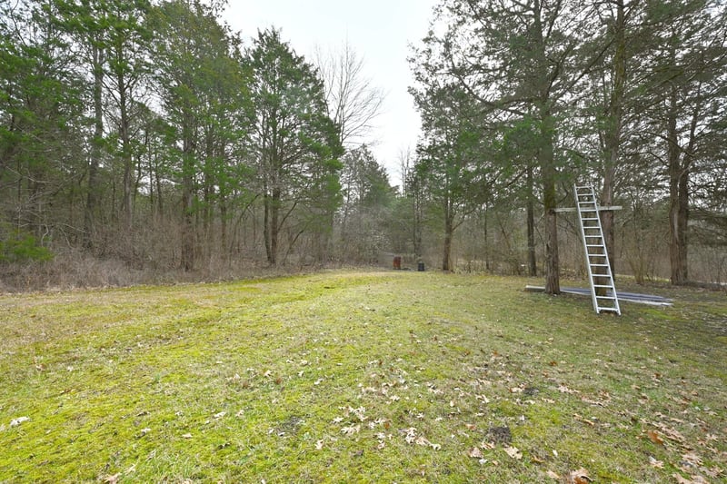 247 Carter Ln, Castalian Springs, TN 37031