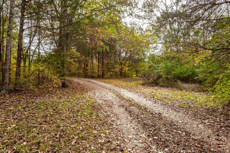 0 Carter Ln, Castalian Springs, TN 37031