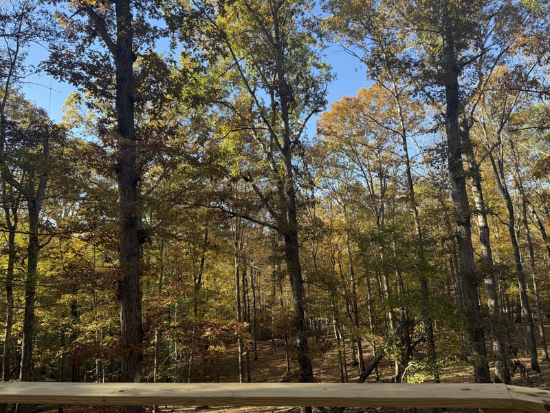 1010 Walnut Ct, Ashland City, TN 37015