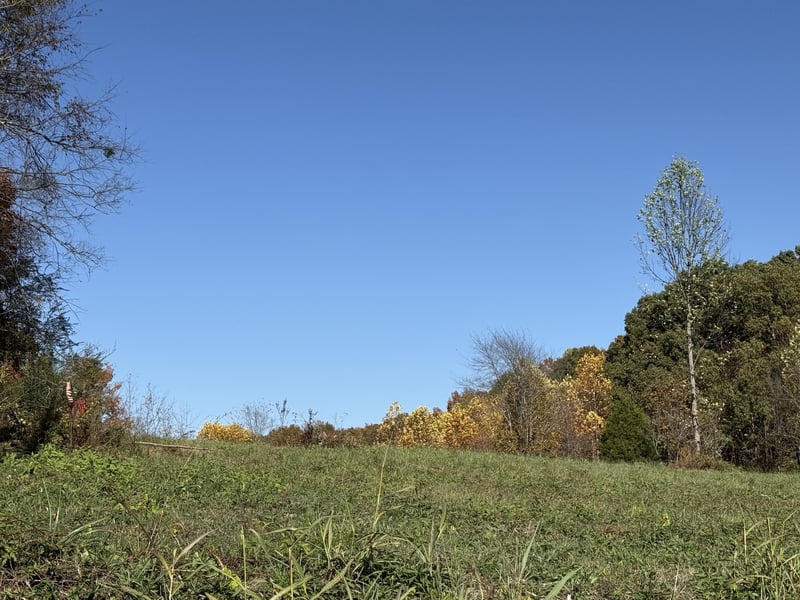 0 Carter Rd, Westmoreland, TN 37186