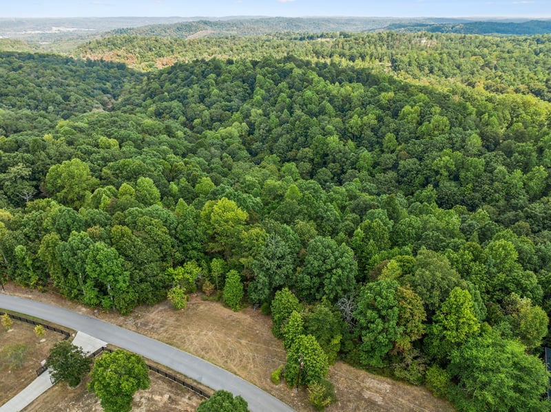 0 Gibbs Rd, Ashland City, TN 37015