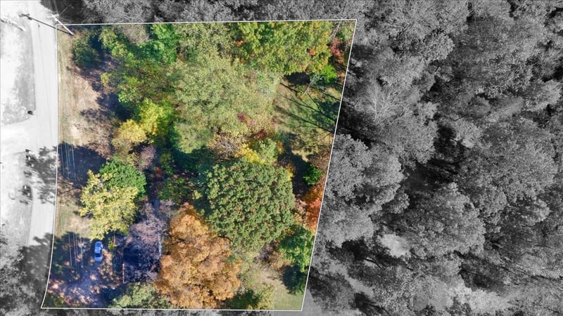 209 Carter Ridge Rd, Westmoreland, TN 37186