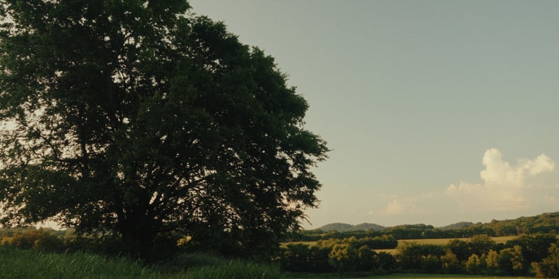 1914 Thompsons Station Rd W, Thompsons Station, TN 37179