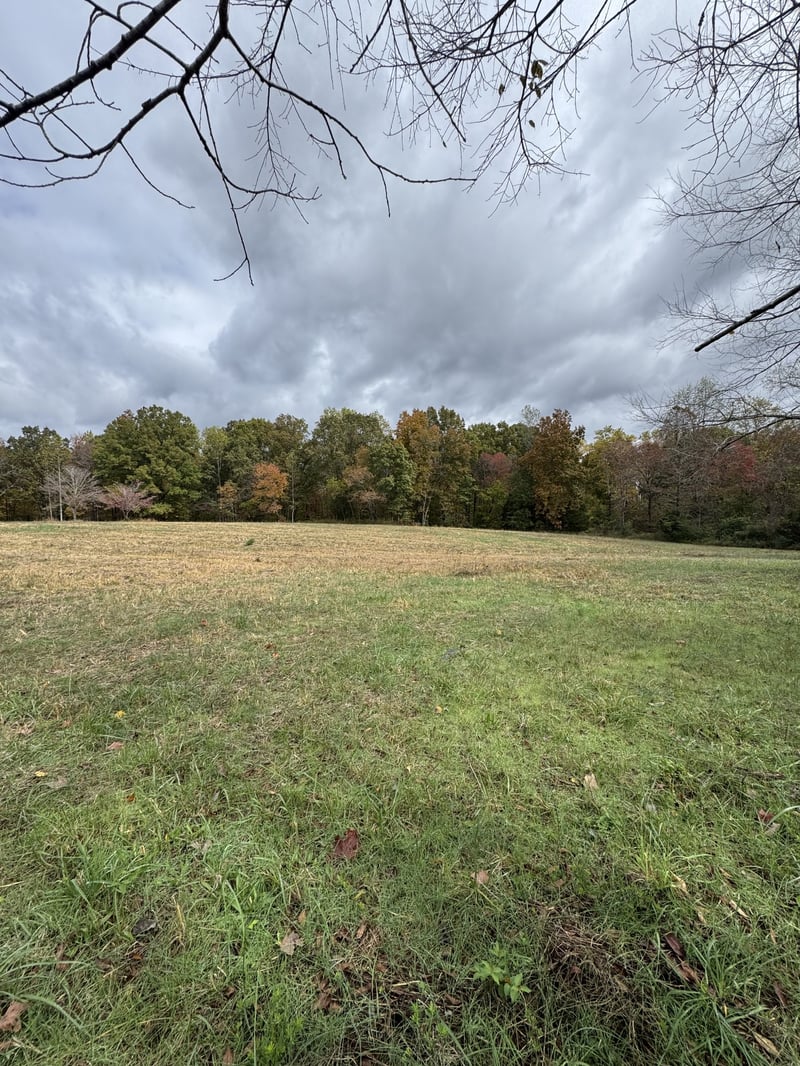 1165 Mount Pleasant Rd, Kingston Springs, TN 37082