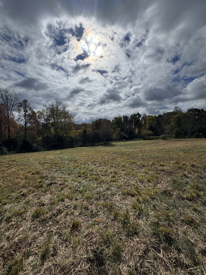 1165 Mount Pleasant Rd, Kingston Springs, TN 37082