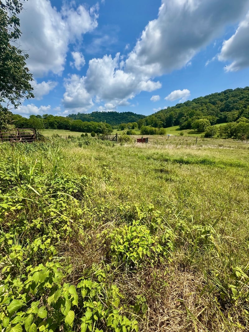 Duke Hollow Ln, Carthage, TN 37030