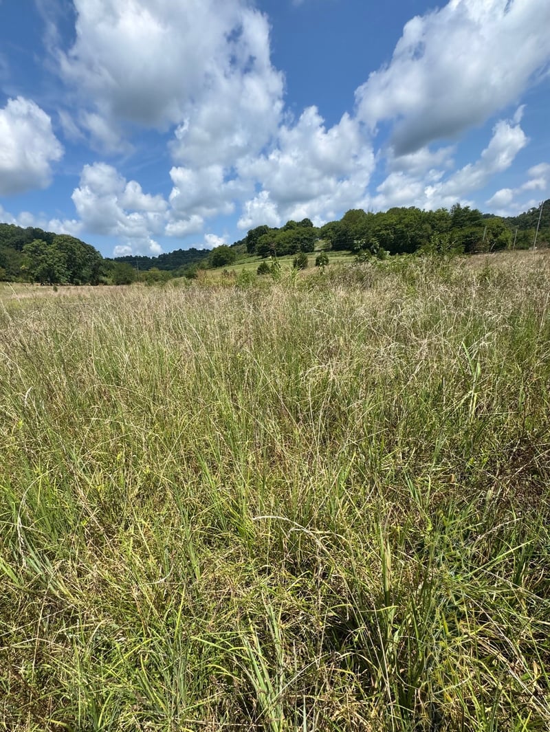 Duke Hollow Ln, Carthage, TN 37030
