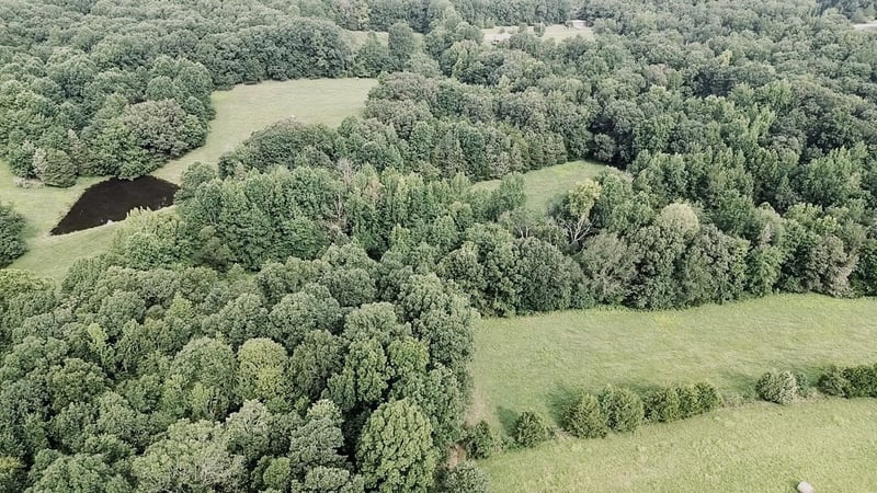 5128 Louise Rd, Cumberland Furnace, TN 37051