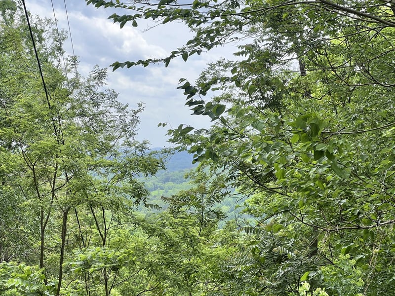 1480 Gravel Hill Rd, Bethpage, TN 37022