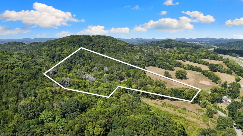 6448 Nathan Smith Rd, College Grove, TN 37046