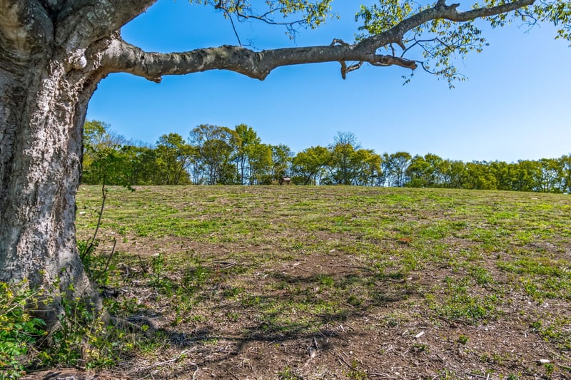 4021 Baileys Cove Ct, Franklin, TN 37064