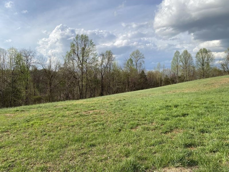 0 Carthage Rd, Pleasant Shade, TN 37145