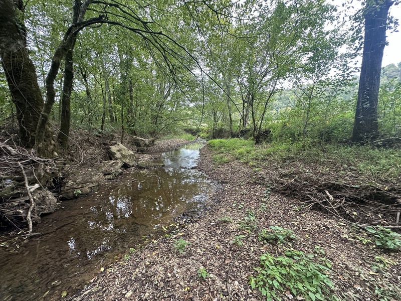 0 Club Springs Rd, Elmwood, TN 38560