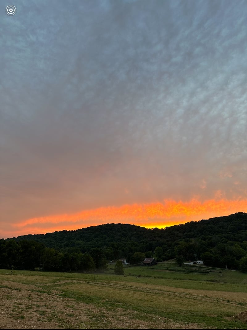 178 Wilburn Hollow Rd, Riddleton, TN 37151