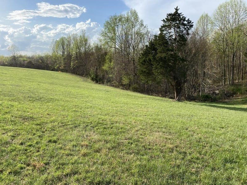 0 Carthage Rd, Pleasant Shade, TN 37145