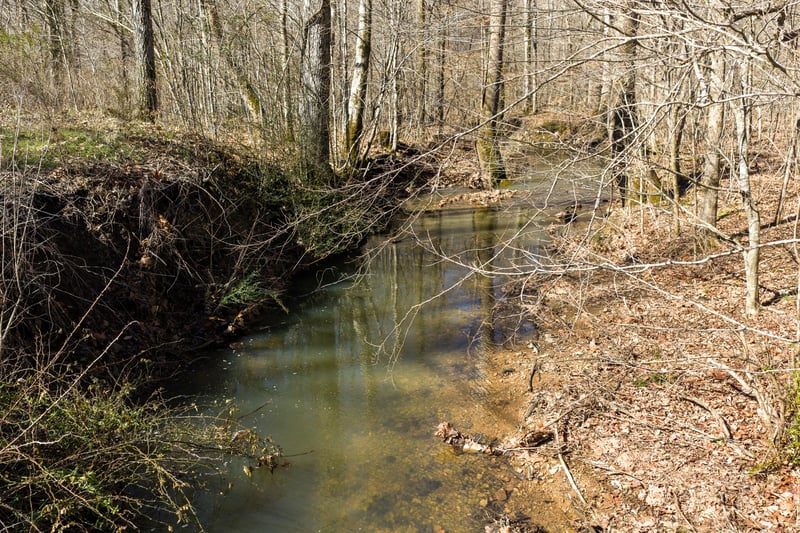 0 Wildcat Rd, Dickson, TN 37055