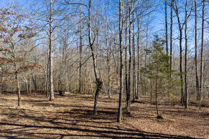 0 Wildcat Rd, Dickson, TN 37055