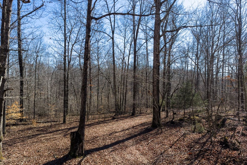 0 Wildcat Rd, Dickson, TN 37055