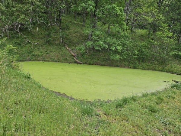 263 Club Springs Rd, Elmwood, TN 38560