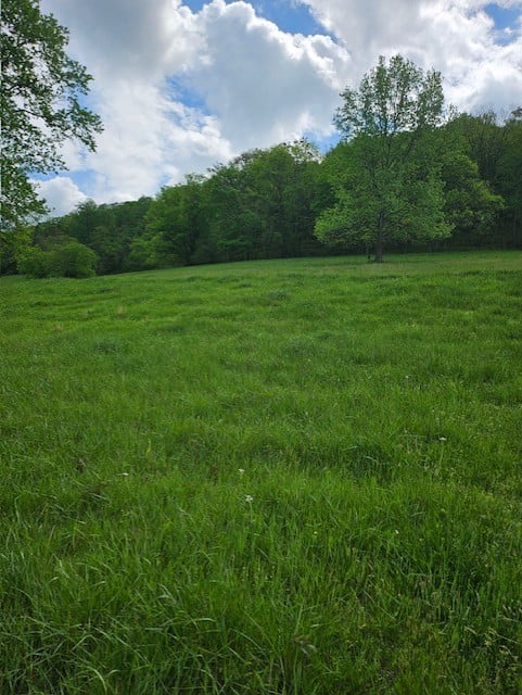 263 Club Springs Rd, Elmwood, TN 38560