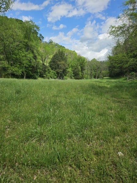 263 Club Springs Rd, Elmwood, TN 38560