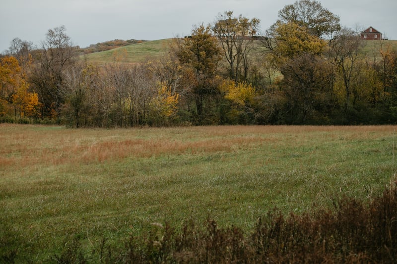 2031 Trilogy Ln, Mount Pleasant, TN 38474