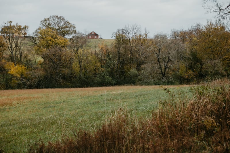 2031 Trilogy Ln, Mount Pleasant, TN 38474