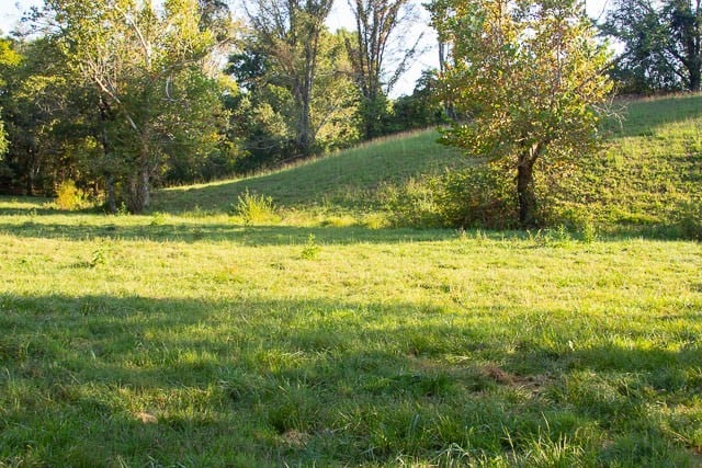 6914 Pulltight Hill Rd, College Grove, TN 37046