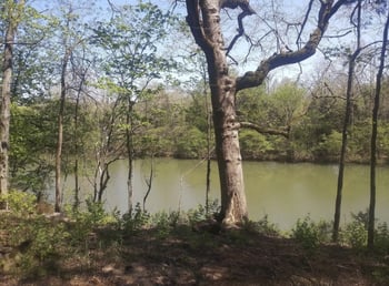 7891 Highway 70 , Nashville, TN 37221