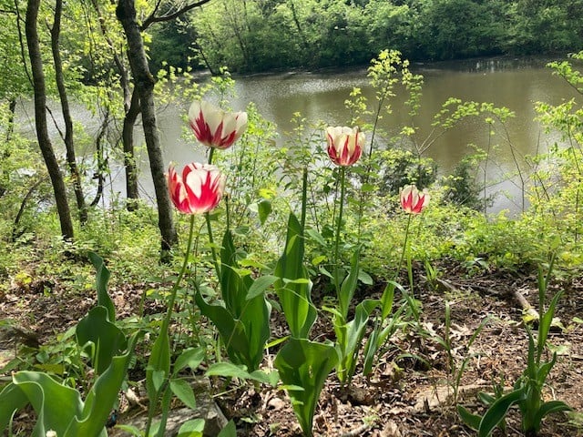 7891 Highway 70 , Nashville, TN 37221